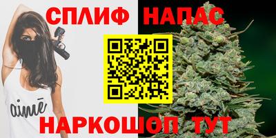 стаф Нальчик