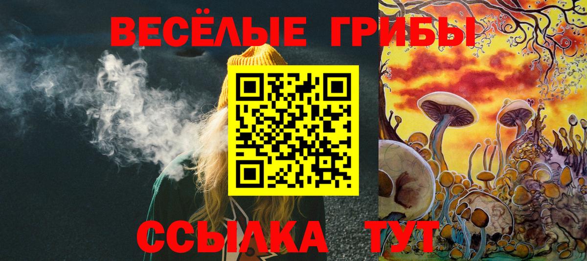 Псилоцибиновые грибы GOLDEN TEACHER  Вход с VPN  как найти наркотики  Феодосия 